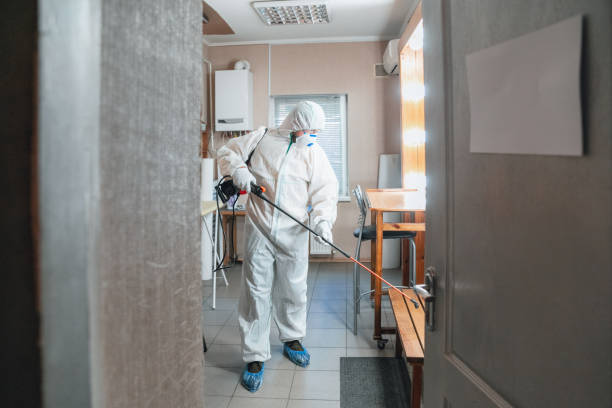 Best Mold Remediation for Healthcare Facilities  in , MI