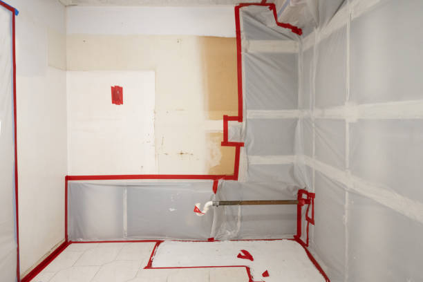 Best Basement Mold Removal  in , MI